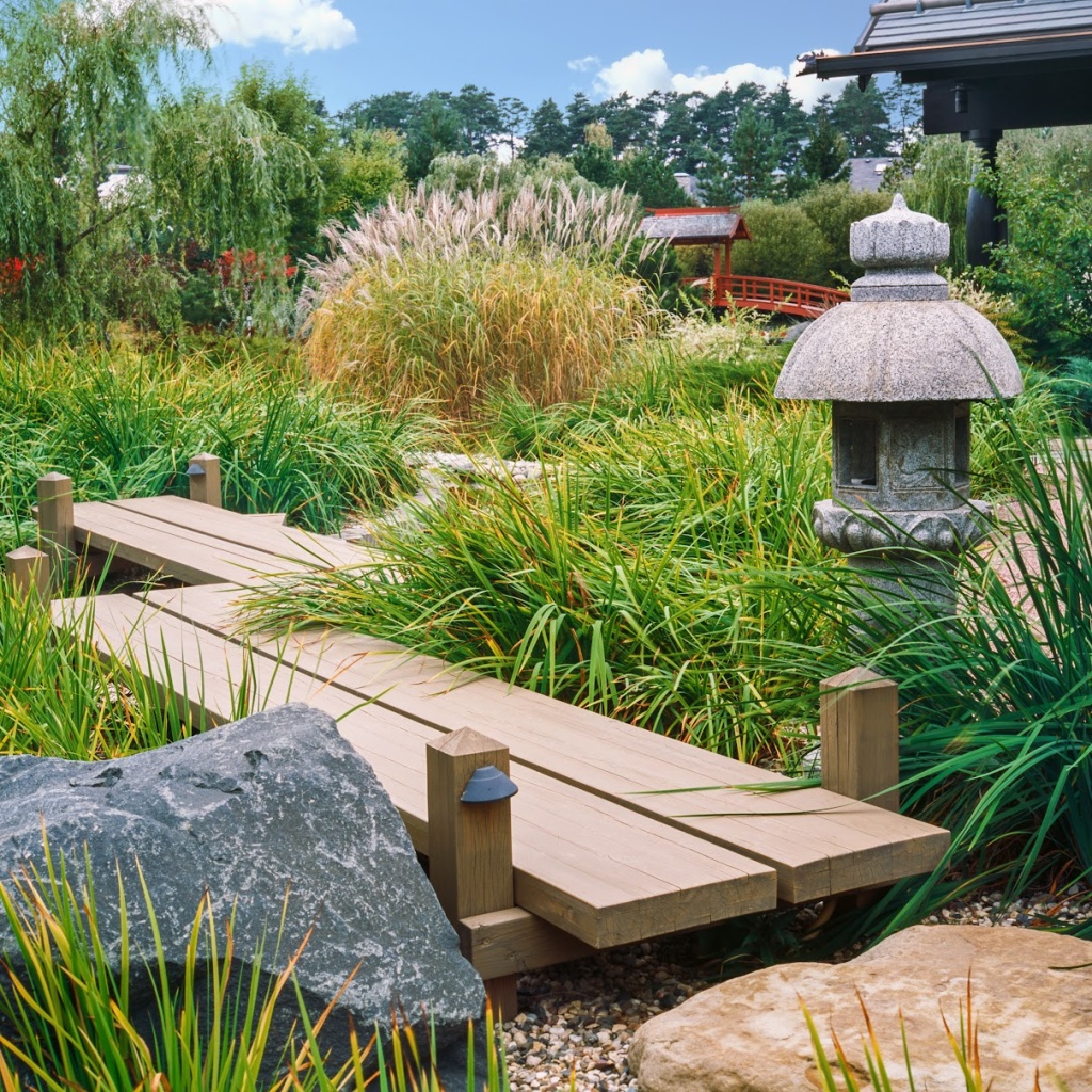 IMG_0154.jpeg